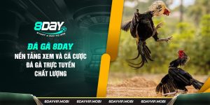 đá gà online tại nhà cái 8day, trang cá cược uy tín